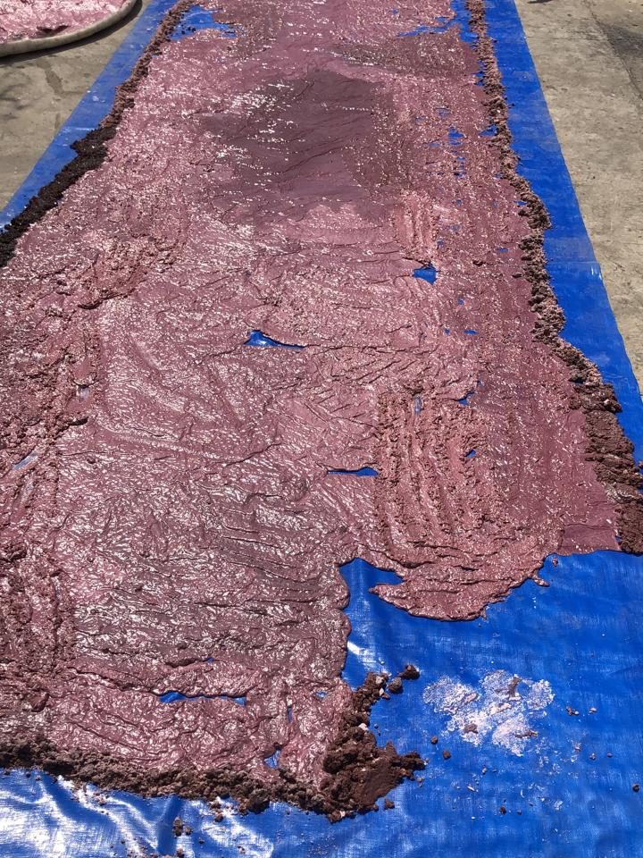 Cobalt sulfate heptahydrate crystals recovered at the plant